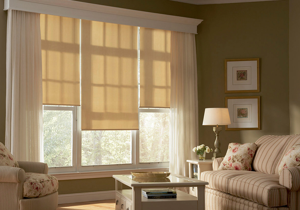 Window Shades in Los Angeles, CA F&R Interiors