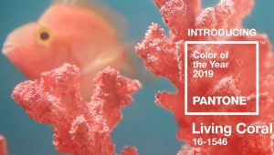 The 2019 Color of the Year From Pantone