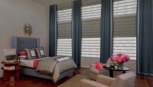 How to Achieve Privacy and Light-Filtering Goals