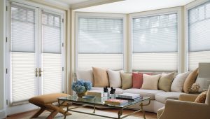 Thinking About the Duette® Honeycomb Shade?