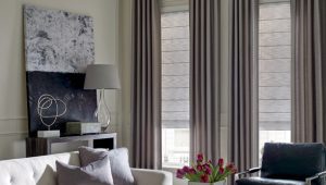 Various Options in Window Fashion Styles