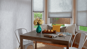 Learn about Applause® Honeycomb Shades From Hunter Douglas