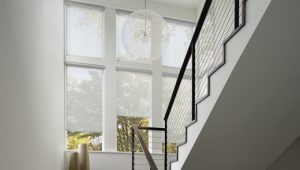 Designer Roller and Screen Shades