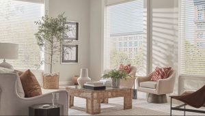 Aria® Soft Blinds by Hunter Douglas