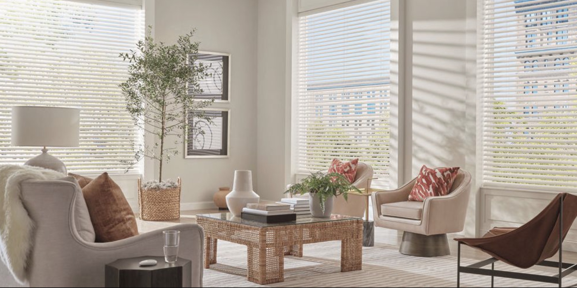 Aria® Soft Blinds by Hunter Douglas